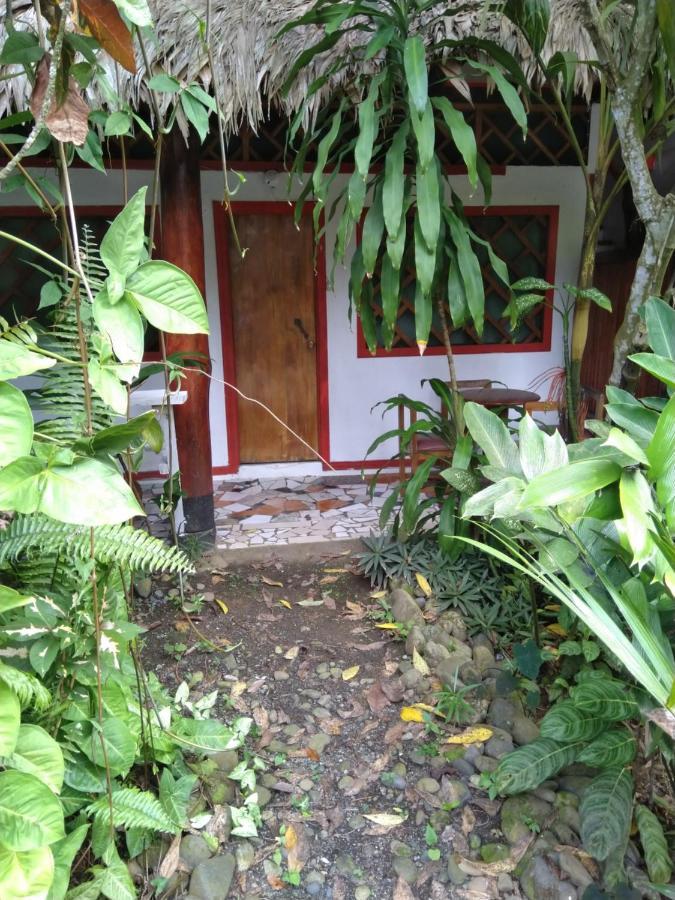 Отель Cabinas Talamanca Sa Puerto Viejo de Talamanca Экстерьер фото