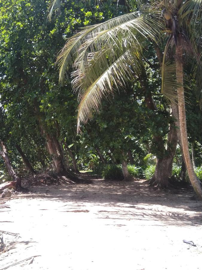 Отель Cabinas Talamanca Sa Puerto Viejo de Talamanca Экстерьер фото
